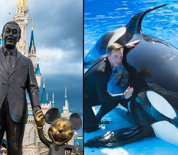 Disney e Seaworld