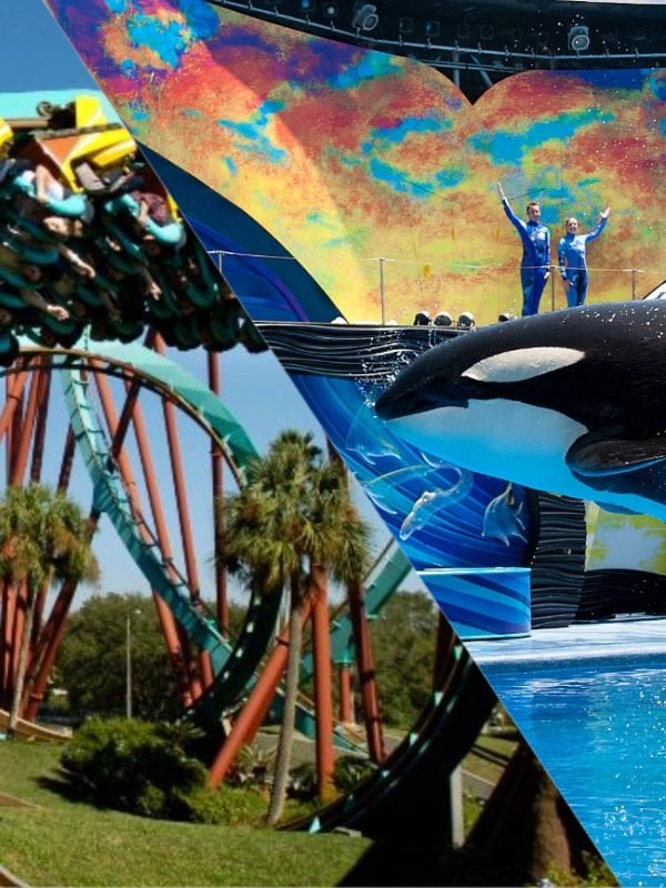 Busch Gardens e SeaWorld