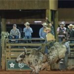 Excursão a rancho americano com rodeio e jantar